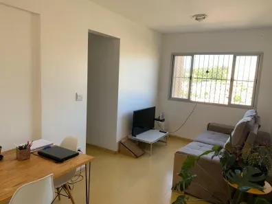 Apartamento com 2 Quartos à venda, 55m² no Jardim Cláudia, São Paulo