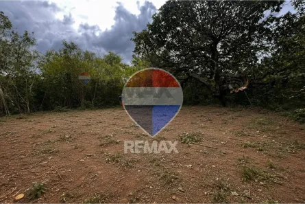 Lote/Terreno à venda, 700m² no Trairi, Trairi