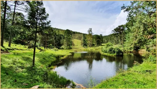 Fazenda/Sítio à venda, 19360000m² no , São José do Barreiro