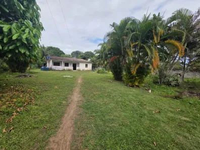 Fazenda/Sítio com 4 Quartos à venda, 2m² no , Mata de São João
