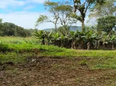 Lote/Terreno à venda, 152407m² no Rio Sagrado, Morretes