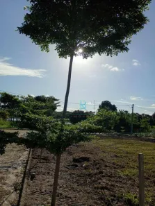 Lote/Terreno à venda, 566m² no Camará, Aquiraz