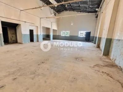 Galpão/Depósito/Armazém para alugar, 1900m² no Custódio Pereira, Uberlândia