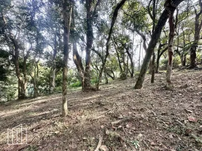 Lote/Terreno à venda, 1472m² no Vila de São Fernando, Cotia