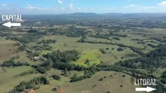Lote/Terreno à venda, 95000m² no Sagrada Família, Gravataí