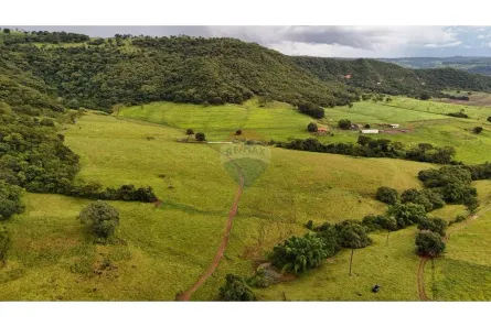 com 10 Quartos à venda, 601300m² no Centro, Franca