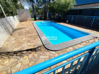 Fazenda/Sítio com 3 Quartos para alugar, 800m² no Morada Nova, Uberlândia