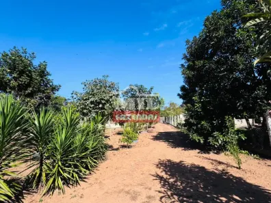 Fazenda/Sítio à venda, 1m² no Centro, Bonfinópolis