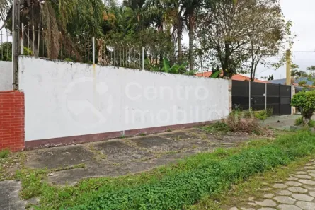 Lote/Terreno à venda, 490m² no Parque Balneario Oasis, Peruíbe