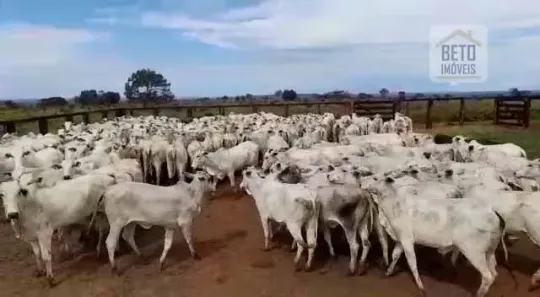 Fazenda/Sítio à venda, 40000000m² no Loteamento São Benedito, Barra do Garças