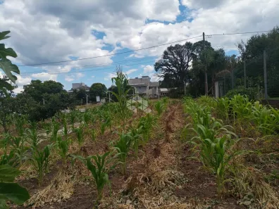 Lote/Terreno à venda, 526m² no Santo Antão, Bento Gonçalves