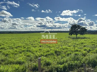 Fazenda/Sítio à venda, 1m² no , Ribeirão Cascalheira