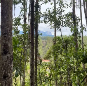 Lote/Terreno à venda, 20040m² no Aracê, Domingos Martins