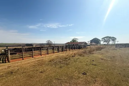 Fazenda/Sítio à venda, 3690500m² no Terminal Rodoviario, Flora Rica