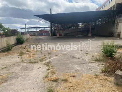 Galpão/Depósito/Armazém para alugar, 3500m² no Nova Cachoeirinha, Belo Horizonte