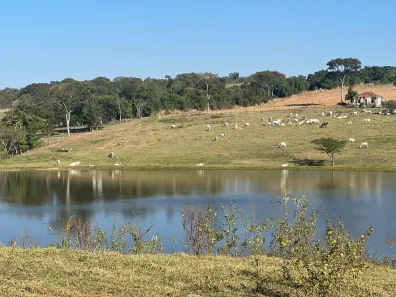 Lote/Terreno à venda, 21000m² no Jardim Chapadão, Monte Mor