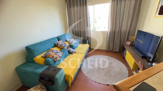 Apartamento com 3 Quartos à venda, 74m² no Vila Mascote, São Paulo
