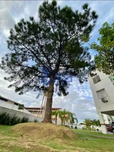 Apartamento com 2 Quartos à venda, 65m² no Cachoeira do Bom Jesus, Florianópolis