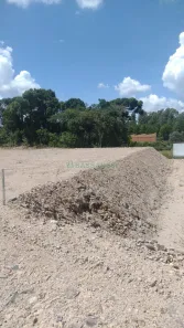 Lote/Terreno à venda, 7808m² no Marechal Floriano, Caxias do Sul