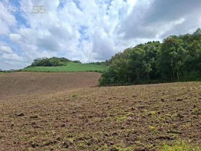 Lote/Terreno à venda, 20000m² no Centro, Campo Largo