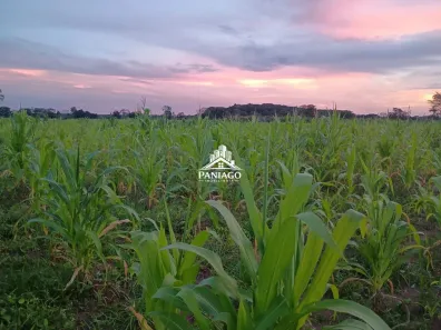 Fazenda/Sítio com 2 Quartos à venda, 96000m² no Área Rural de Cuiabá, Cuiabá