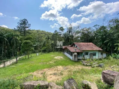 Fazenda/Sítio com 3 Quartos à venda, 24000m² no Alsácia, Guabiruba