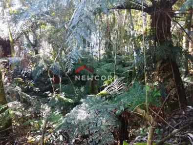 Lote/Terreno à venda, 600m² no Centro, São Francisco de Paula