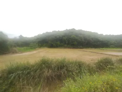 Lote/Terreno à venda, 142745m² no Ribeirão Cavalo, Jaraguá do Sul