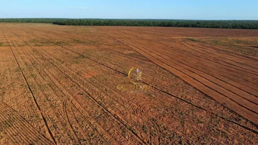 Fazenda/Sítio com 2 Quartos à venda, 92850000m² no São José do Xingu, São José do Xingu