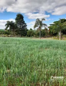 Lote/Terreno à venda, 460000m² no Jardim São Jorge, Paranavaí