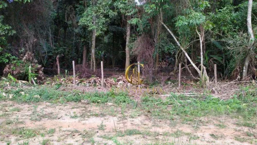 Lote/Terreno à venda, 250m² no Jaraguá, São Sebastião