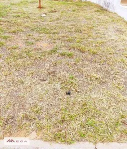 Lote/Terreno à venda, 250m² no Residencial Real Parque Sumaré, Sumaré