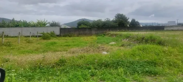 Lote/Terreno à venda, 380m² no Guarda do Cubatão, Palhoça