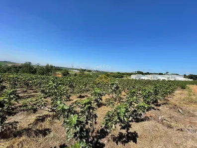 Lote/Terreno à venda, 45500m² no Jardim São Domingos, Campinas