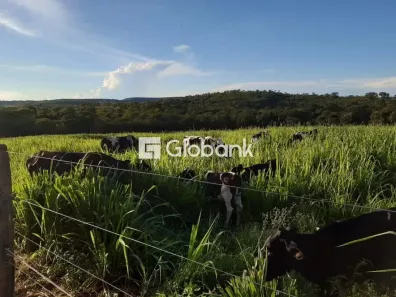 Fazenda/Sítio à venda, 12m² no , Brasília de Minas