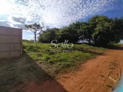 Lote/Terreno para alugar, 1000m² no Morada dos Pássaros, Uberlândia