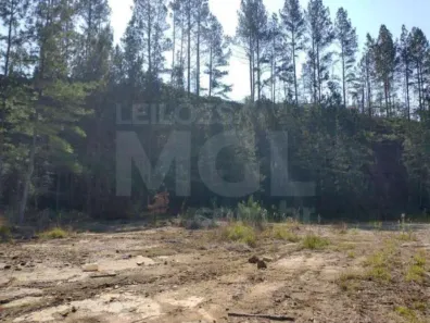 Lote/Terreno à venda, 107690m² no Área Rural de Mafra, Mafra