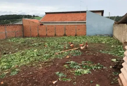Lote/Terreno à venda, 200m² no Centro, Ribeirão Preto
