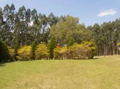 Fazenda/Sítio com 3 Quartos à venda, 1116000m² no Arapoti, Arapoti