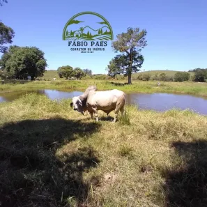 Fazenda/Sítio com 2 Quartos à venda, 968000m² no Boqueirão, Silva Jardim