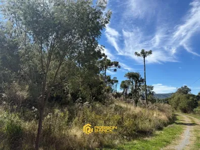 Lote/Terreno à venda, 25000m² no , Urubici
