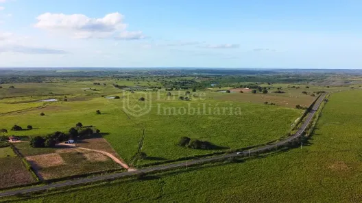 Fazenda/Sítio à venda, 540000m² no Centro, Pilar