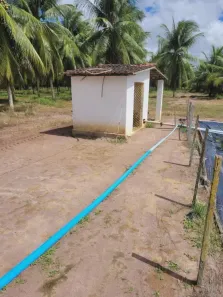 Fazenda/Sítio com 3 Quartos à venda, 400000m² no , Ceará-Mirim