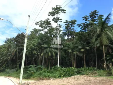 Lote/Terreno à venda, 54075m² no Aimoré, Guabiruba