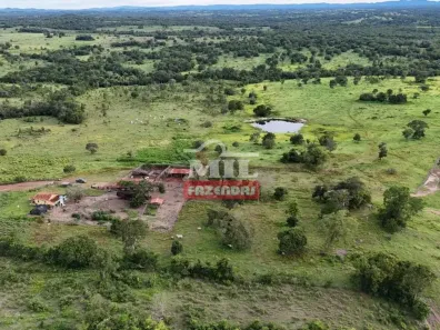 Fazenda/Sítio à venda, 500m² no , Araguapaz