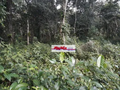 Lote/Terreno à venda, 500m² no Prainha Do Guarau, Peruíbe