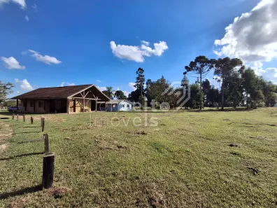 Fazenda/Sítio com 4 Quartos à venda, 220m² no , Palmeira