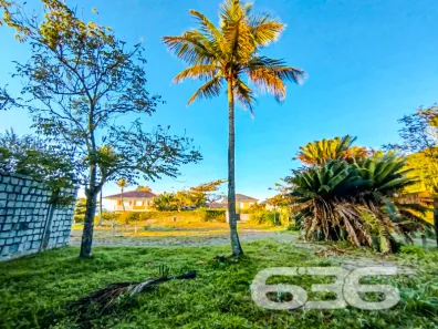 Lote/Terreno à venda, 629m² no Do Ubatuba, São Francisco do Sul