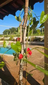 Fazenda/Sítio com 3 Quartos à venda, 3m² no Recanto Aprazível, Bauru