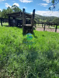 Fazenda/Sítio com 3 Quartos à venda, 2020m² no , Pires do Rio